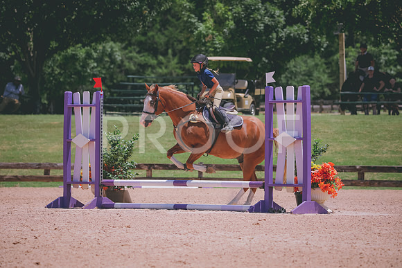 RWP_5903
