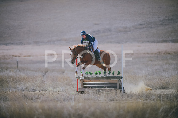JJS_0248