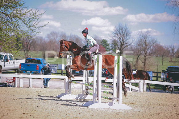 SNS_2019
