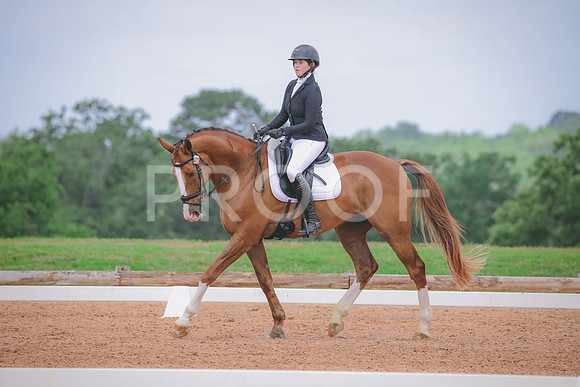 RWP_4260