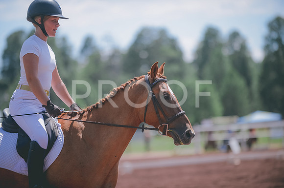 JJS_0657