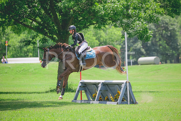 RWP_3293