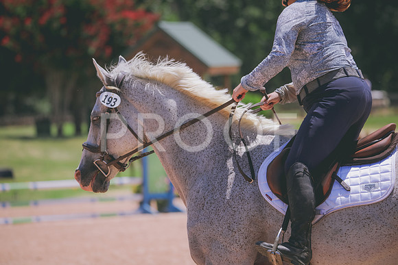 RWP_5562