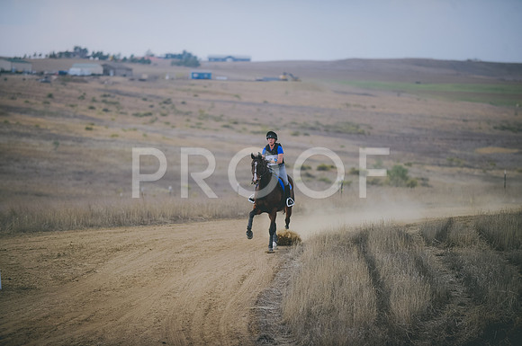 JJS_2213