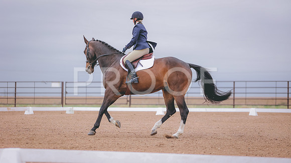 0N0A6994
