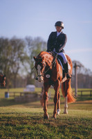3T5A4645