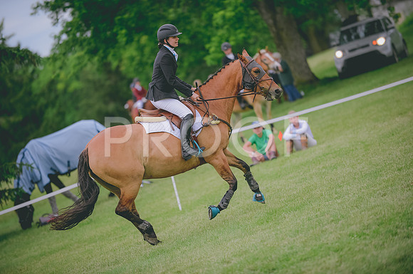 JJS_0965
