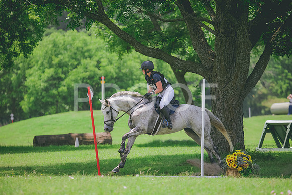 RWP_3171