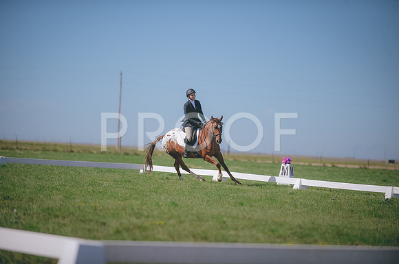 JJS_2136