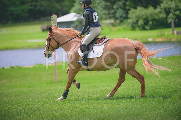 JJS_0856