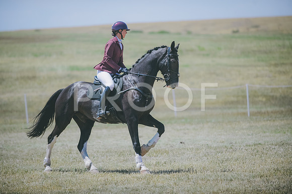 JJS_8498