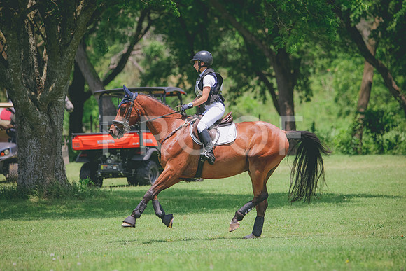 RWP_3177