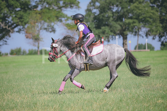 RWP_6456