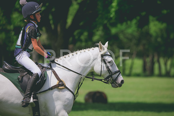 RWP_4423
