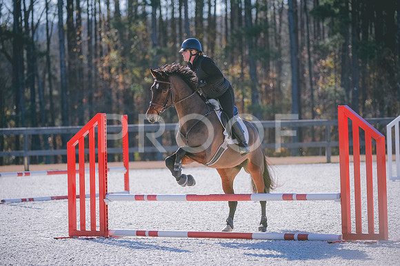 JJS_3378