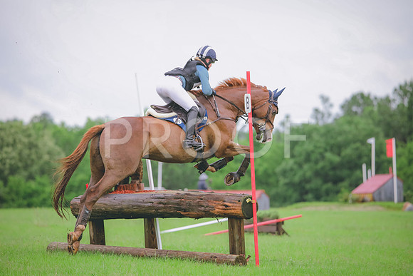RWP_5313