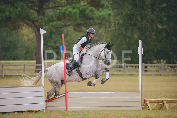 RWP_3543