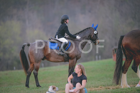 JJS_3647