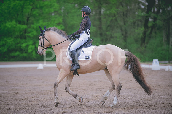 JJS_5378