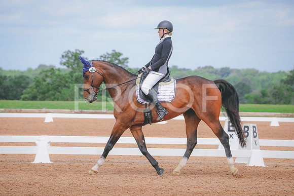 RWP_4164
