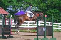 DSC_2318