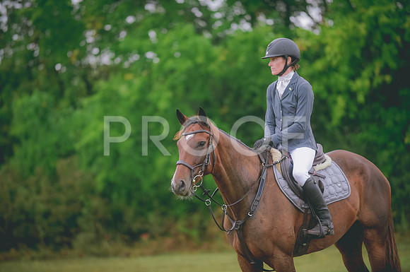 JJS_0413