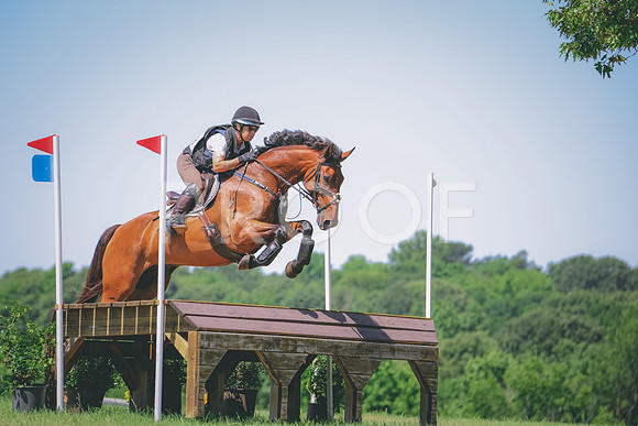 RWP_6119