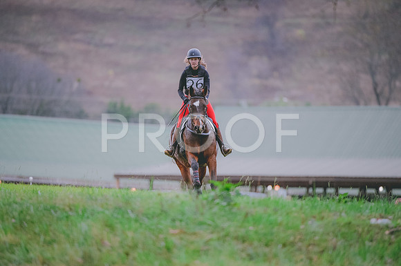 JJS_0314A