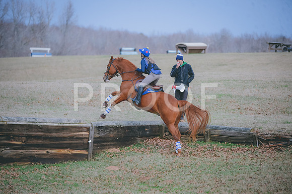 JJS_3449