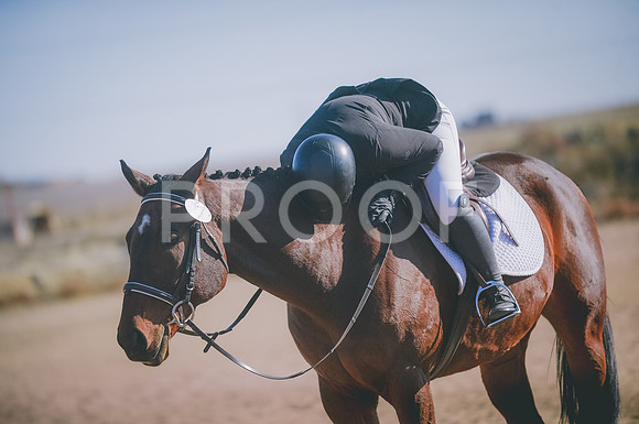 JJS_1601