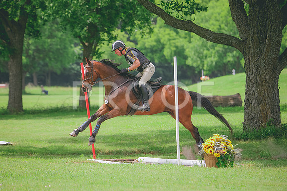 RWP_2120