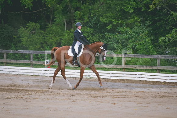 DSC_1157