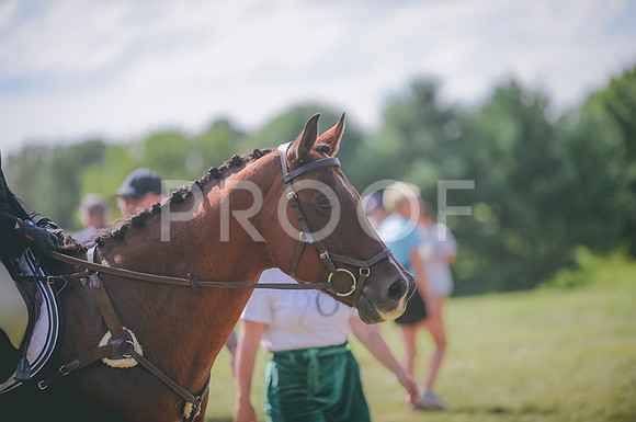 JJS_5345