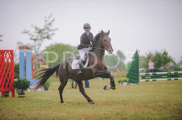 JJS_1817