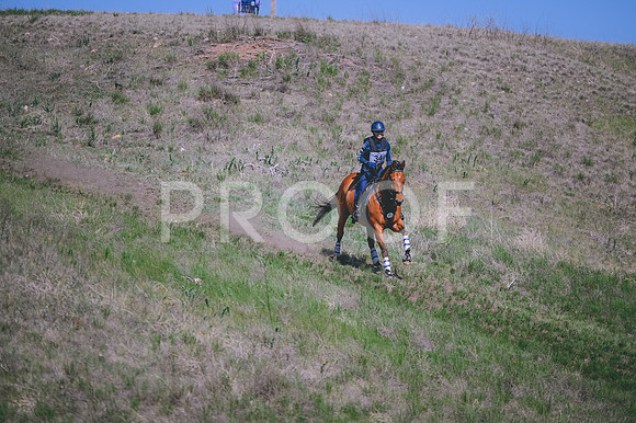DSC_6666A