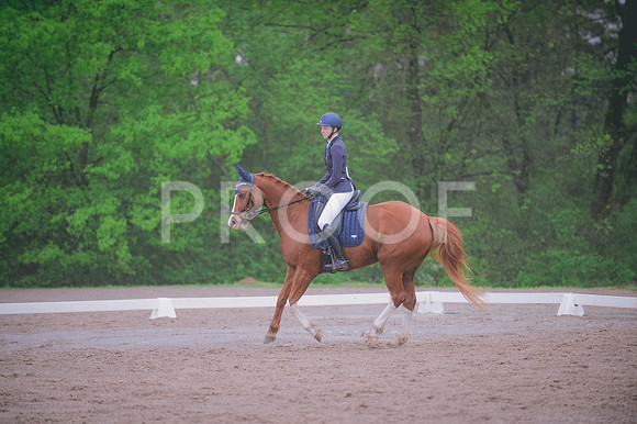 JJS_7545