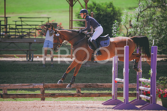 RWP_5197