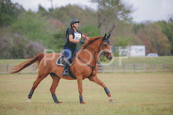 RWP_3819
