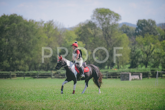 JJS_7540