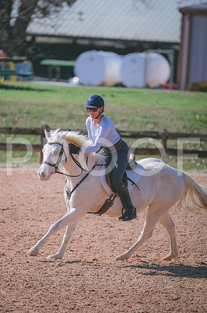 JJS_7604