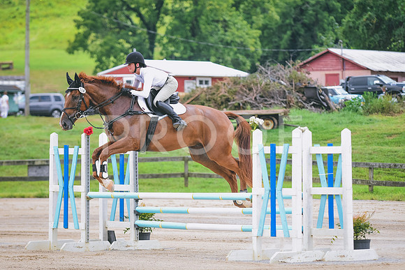 DSC_1854