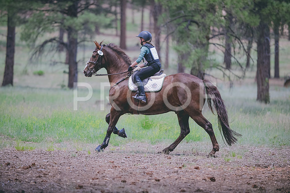 JJS_8157