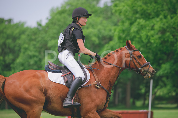 RWP_0433