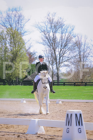 BH245379