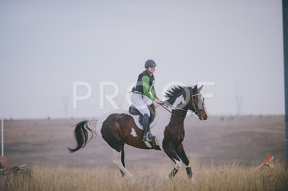 JJS_4219