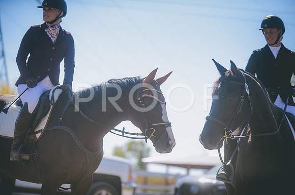 JJS_1839
