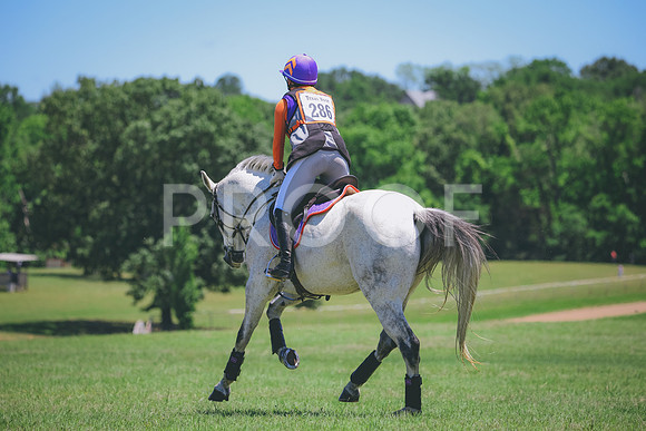RWP_0602