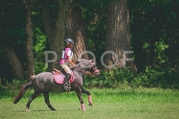 RWP_4330