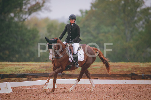 RWP_1039