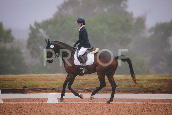 RWP_0849